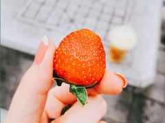 -马拉桑果汁(龙头路总店)