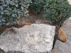 -贮水山儿童公园