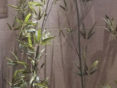 -村上一屋·亚洲菜融合小馆(南楼店)