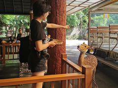 -清迈夜间动物园