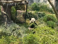 -石排湾郊野公园