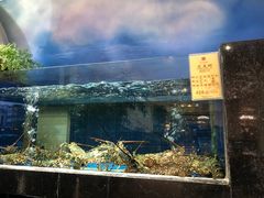 -鹏天阁酒楼·海鲜(红旗店)