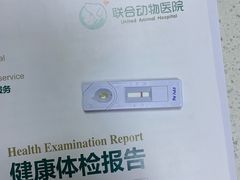 -联合动物医院(光谷诊疗中心)