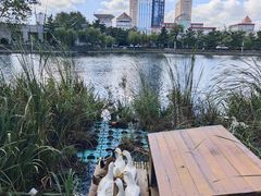 -山东大学(威海校区)