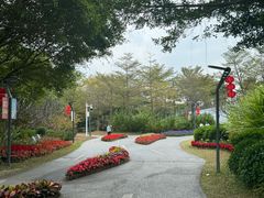 -福田红树林生态公园
