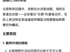 -蓬莱欧乐堡海洋极地世界