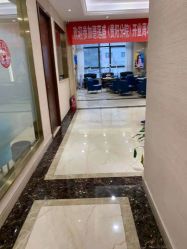 -碧莲盛·不剃发植发