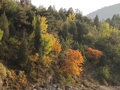 -北京上方山国家森林公园