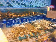 -乔哥铭洋海鲜自助(皇城恒隆广场店)