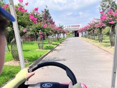 -东平国家森林公园