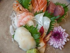 -天正河鲀·河豚亭(大连店)