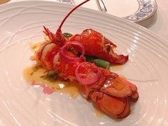 鲜活波士顿龙虾-领仕扒房(长春店)