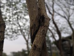 -木守西溪溪隐餐厅