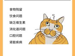 -李小姐の猫咖啡馆(五角场店)