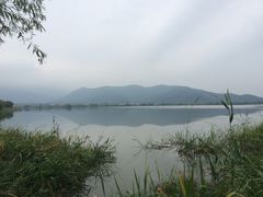 -长兴太湖图影湿地文化园
