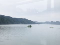 -千岛湖品鱼馆(钓鱼岛店)