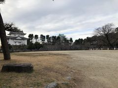 -名古屋城