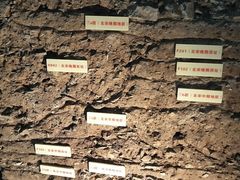 -南越王博物院(王宫展区)