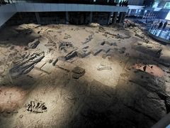 -自贡恐龙博物馆