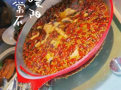 -雲蜀龙阁·金牌水煮鱼(方庄店)