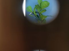 -汉庭(上海虹桥机场新店)