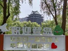-长兴太湖图影湿地文化园