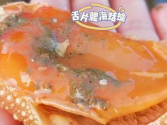 -巨鹏飞梦幻海岸