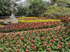 -南山植物园