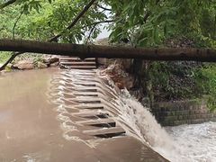 -重庆彩云湖湿地公园