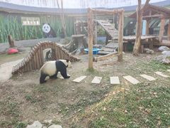 -南昌动物园
