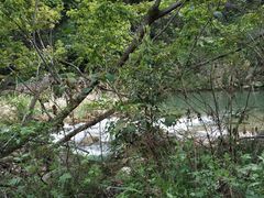 -郧西五龙河风景区