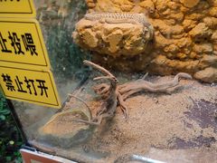 -松江科技馆