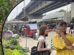 -三圣花乡旅游区