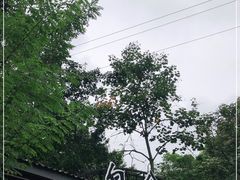 -白公馆