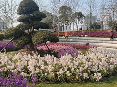 -北外滩滨江绿地