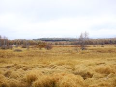 -塞罕坝国家级自然保护区