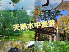 -杭州植物园