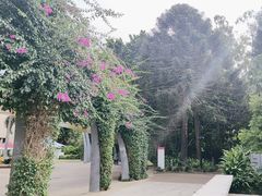 -布里斯班南岸公园