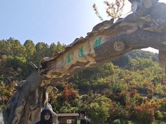 -龙道沟景区