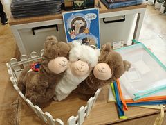 -北京市海淀外国语实验学校