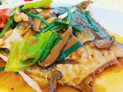 红烧海鱼-明记海鲜美食老字号(明记总店)