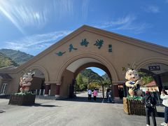 -丹东天桥沟景区