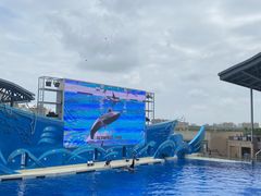-上海海昌海洋公园