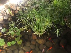 -晶泽丽琅·鱼鲜川菜(川师店)