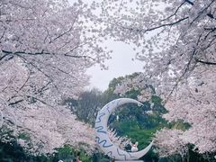 -杭州少年儿童公园
