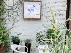 -春树下·树屋花房西餐厅(罍街AS1980店)