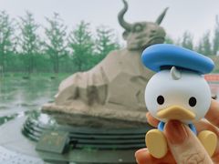 -永定河休闲森林公园