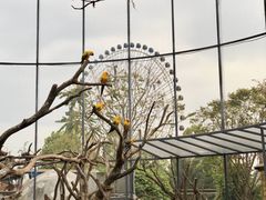 -国色天乡三期陆地乐园