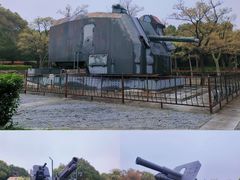 -上海吴淞炮台湾国家湿地公园