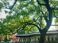 -杭州九堡客运中心